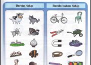 Profil Benda Mati Biodata lengkap dengan Agamanya