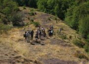 Profil D B Foce Biodata lengkap dengan Agamanya