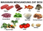 10 Makanan Kaya Zat Besi yang Harus Dikonsumsi untuk Kesehatan Darah