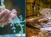 Arti Mimpi Air Jernih Menurut Islam: Simbol Kemurnian dan Kebahagiaan
