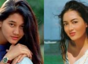 10 Artis yang Meninggal karena Gunung Meletus Tragedi Alam yang Merenggut Nyawa!