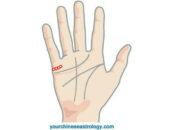 Arti Mimpi Banyak Monyet Menurut Islam: Pertanda Kekacauan atau Kelicikan?