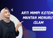Apa Arti Mimpi Bersetubuh Dengan Mantan Istri Menurut Islam?