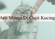 Arti Mimpi Diikuti Kucing Menurut Islam: Simbol Kebaikan atau Perlindungan?