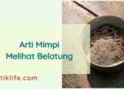 Arti Mimpi Banyak Belatung Menurut Islam: Pertanda Masalah atau Pembersihan?