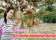 Arti Mimpi Dapat Buah Durian Jatuh Menurut Islam: Tanda Rezeki Tak Terduga?