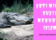 Arti Mimpi Digigit Buaya Menurut Islam: Ancaman Tersembunyi atau Peluang?