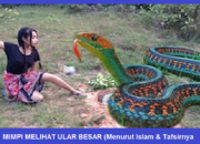 Arti Mimpi Ada Ular Besar di Rumah Menurut Islam: Tafsir Simbol Hewan Misterius