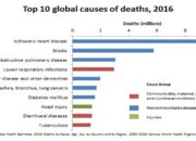 10 Penyebab Kematian Tertinggi di Dunia Kenali Risiko Kesehatan Anda!