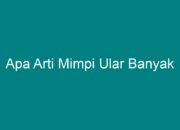 Apa Arti Mimpi Bertemu Ular Banyak Menurut Islam?