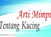 Arti Mimpi Bermain Dengan Kucing Menurut Islam: Apa Maknanya?