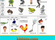 Tafsir Mimpi Bercumbu Dengan Wanita Menurut Islam