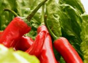 Arti Mimpi Cabe Rawit Menurut Islam: Pertanda Kekuatan dalam Rintangan Kecil