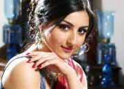 10 Artis India Beragama Islam yang Berkarir Cemerlang di Bollywood