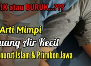 Arti Mimpi Buang Air Kecil Menurut Islam: Pertanda Pelepasan Beban