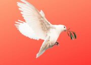 Arti Mimpi Dikasih Burung Merpati Menurut Islam: Tanda Perdamaian atau Kesetiaan?