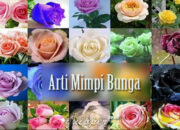 Arti Mimpi Dikasih Bunga oleh Pria Menurut Islam: Simbol Romantisme atau Perhatian Khusus?