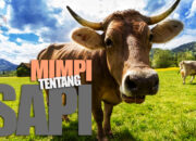 Arti Mimpi Dikejar Sapi Menurut Islam: Simbol Tantangan atau Rasa Takut yang Kecil?