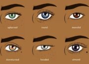 Menelusuri Indahnya Bentuk Mata yang Memikat Hati
