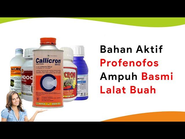 Bahan Aktif yang Efektif untuk Mencapai Hasil Optimal