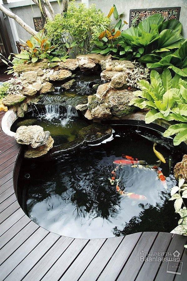 Material dan Desain yang Cocok untuk Kolam Ikan Kecil