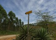 Cara Kerja Palapa Ring: Revolusi Telekomunikasi Indonesia!