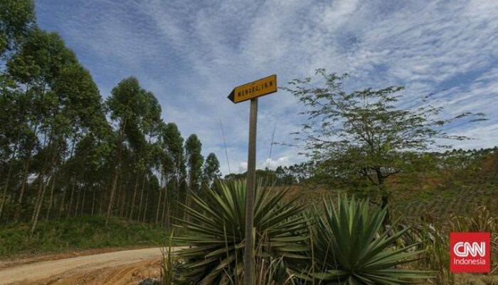 Cara Kerja Palapa Ring: Revolusi Telekomunikasi Indonesia!