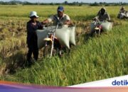 Ciri Demografi Negara Maju: Faktor Utama yang Membedakannya!