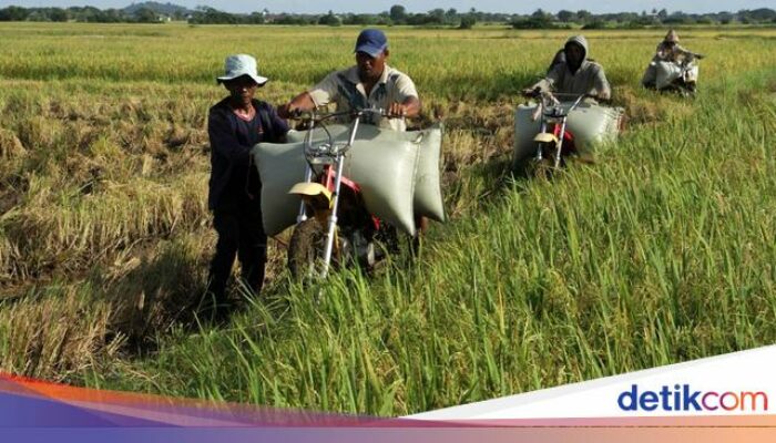 Ciri Demografi Negara Maju: Faktor Utama yang Membedakannya!