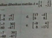 Cara Tepat Penulisan Tanda Baca Titik Jangan Salah Lagi!