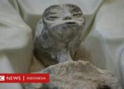 Misteri Hewan Laut yang Baru Ditemukan Ada yang Mirip Alien!