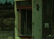 Tempat Tidur Kucing Buatan Sendiri: Dijamin Kucingmu Betah!