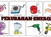 Perubahan Musim di Indonesia: Apa Saja Dampaknya ke Kehidupan Sehari-hari?