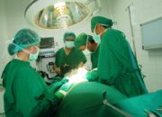 Operasi Plastik pada Hewan Jadi Tren di Korea Selatan Kok Bisa?