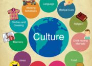 Culture Shock Sekolah: Cerita Lucu dari Siswa yang Nggak Kuat Adaptasi