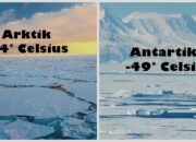 10 Perbedaan Kutub Selatan dan Utara Banyak yang Sering Salah Kaprah