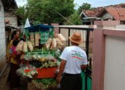 Permasalahan Tukang Sayur: Dari Modal ke Saingan Modern