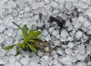 Fenomena Hujan Es di Surabaya Kok Bisa Terjadi di Negara Tropis?