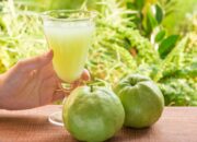 Banyak Disangka Sehat Jus Buah Segar Ternyata Tidak Selalu Baik