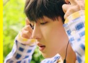 Ternyata Boy Band Sudah Ada Sejak Tahun 60-an Korea Datang Belakangan