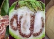 Selain Daging Kurban: 10 Lafaz Allah yang Pernah Ditemukan di Berbagai Tempat Bikin Merinding!