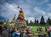 Tradisi Perlakuan Ari-Ari Bayi: Dari Dikubur hingga Dimakan!