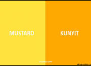 Harmoni Warna: Kombinasi Menarik Antara Warna Kunyit dan Pasangannya